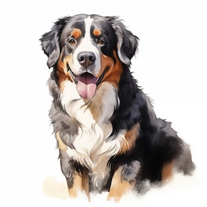 Bernese Mountain Dog Clipart, Berner Sennenhund Images, 10 Watercolor Clip Art, Printable JPG, Instant Download, Commercial Use, Paper craft