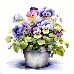 Watercolor Pansies Clipart: Potted Flowers Illustration (JPGs, Commercial Use)