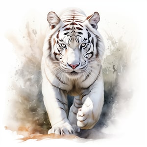 Clipart witte tijger, afbeeldingen schattige witte tijger, 10 aquarel illustraties, afdrukbare JPG's, Instant Download, Commercieel gebruik, Papercraft
