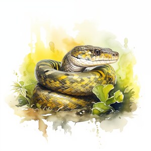10 Python, Python Snake JPG, Watercolor Clipart, High Quality Jpgs ...