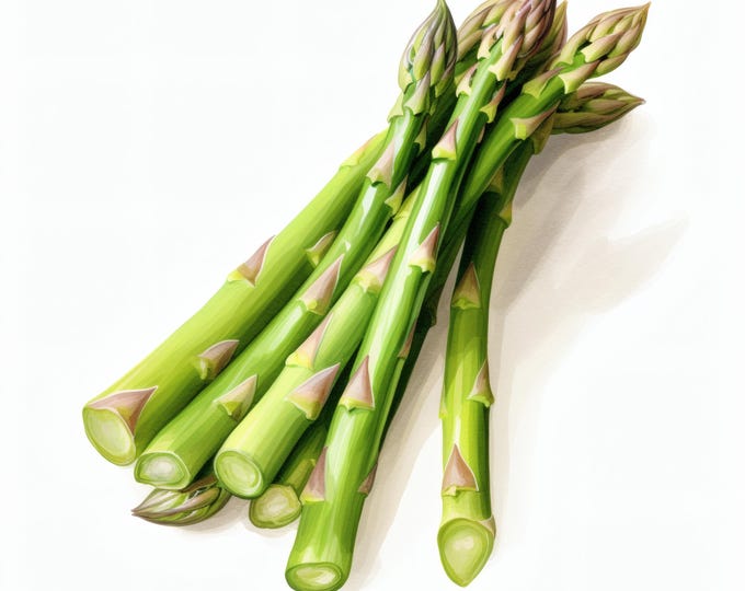 Asparagus Clipart, Green Vegetable Images, 10 Watercolor Clip Art, Printable JPGs, Instant Download, Commercial Use, Paper craft