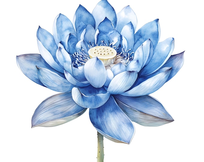 Blue Lotus Clipart, Lotus Flower Images, 10 Watercolor Clip Art, Printable JPGs, Instant Download, Commercial Use, Paper craft