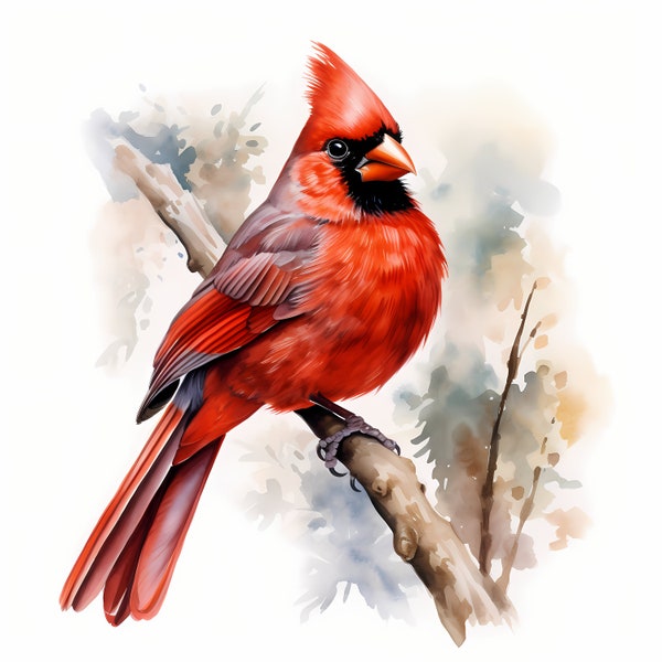 Red Cardinal, Cardinal Bird - Watercolor Clipart Set with 10 JPG Images - Instant Download, Commercial Use, Digital Prints