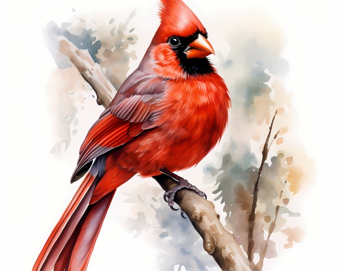 Red Cardinal Clipart, Cardinal Bird Images, 10 Watercolor Clip Art, Printable JPGs, Instant Download, Commercial Use, Paper craft