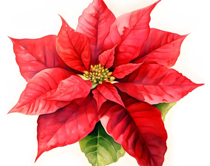 Poinsettia Clipart, Christmas Flower Images, 10 Watercolor Clip Art, Printable JPGs, Instant Download, Commercial Use, Paper craft