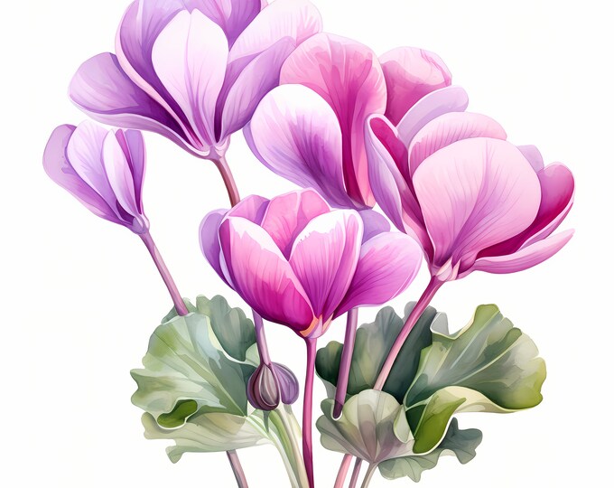 Lilac Cyclamen Clipart, Purple Lilac Flowers Images, 10 Watercolor Clip Art, Printable JPGs, Instant Download, Commercial Use, Paper craft