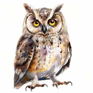 Quirky Owl Clipart, Whimsical Owls Images, 10 Watercolor Clip Art ...