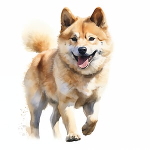 Akita Dog Clipart, Akita Inu Dog Images, 10 Watercolor Clip Art, Printable JPGs, Instant Download, Commercial Use, Paper craft