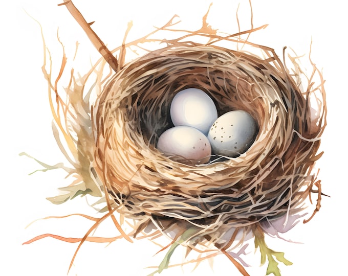 Bird Nest Clipart, Eggs In Nest Images, 10 Watercolor Clip Art, Printable JPGs, Instant Download, Commercial Use, Paper craft