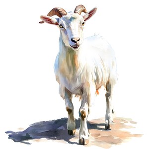 Farm Goat Watercolor Clipart Goat Portrait Farmer Farm PNG ...