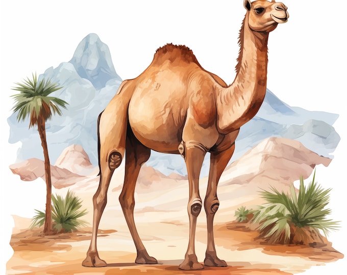 Camel Clipart, Camel In Desert Images, 14 Watercolor Clip Art, Printable JPGs, Instant Download, Commercial Use, Paper craft