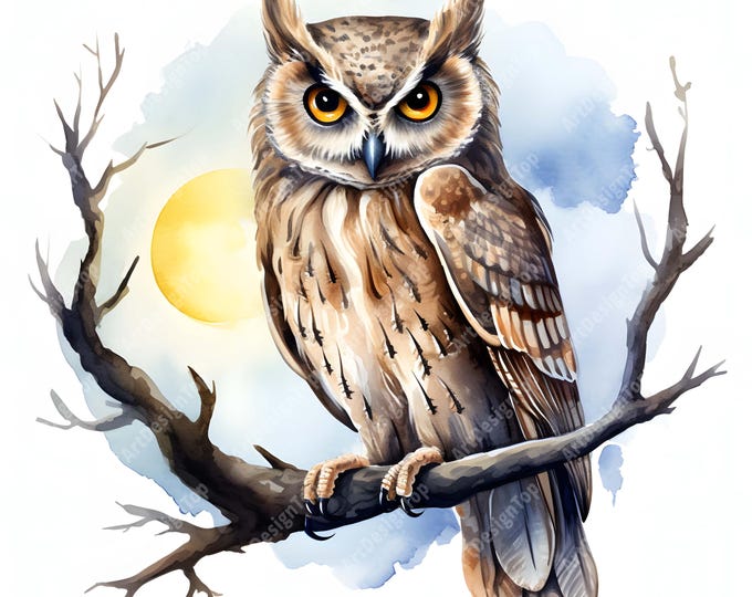 Owl Moon Clipart, Owl With Moon Images, 10 Watercolor Clip Art, Printable JPGs, Instant Download, Commercial Use, Paper craft