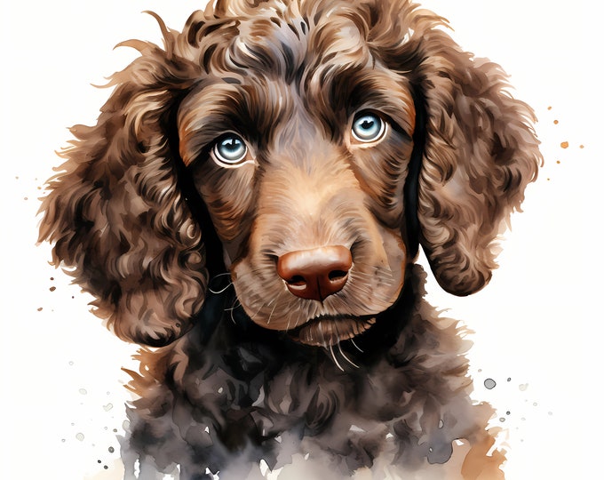 Irish Water Spaniel Clipart, Puppy Dog Images, 10 Watercolor Clip Art, Printable JPGs, Instant Download, Commercial Use, Paper craft