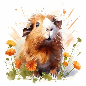 Guinea Pig Clipart, Guinea Pigs Images, 10 Watercolor Clip Art, Printable JPGs, Instant Download, Commercial Use, Paper craft