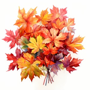 Imágenes prediseñadas de hojas de otoño, imágenes de ramo de hojas de otoño, 10 imágenes prediseñadas de acuarela, JPG imprimibles, descarga instantánea, uso comercial, artesanía de papel