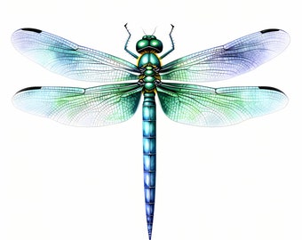 Watercolor Dragonfly Clipart: 10 Printable JPG Images (Commercial Use)