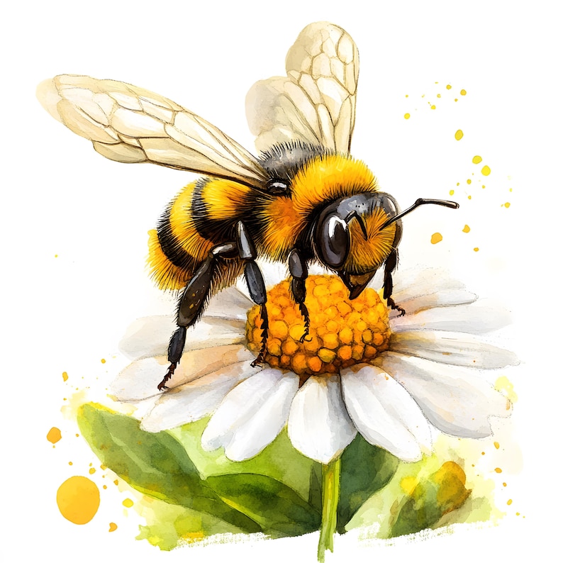 Watercolor Bee Clipart: Floral Bee Images for Commercial Use (jpgs ...