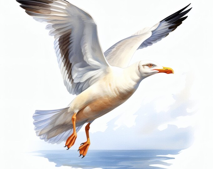 Seagull Clipart, Coastal Bird Images, 10 Watercolor Clip Art, Printable JPGs, Instant Download, Commercial Use, Paper craft