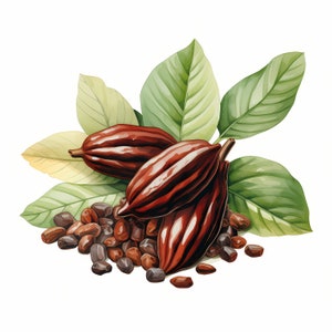Cocoa Clipart, Cocoa Beans Images, 10 Watercolor Clip Art, Printable JPGs, Instant Download, Commercial Use, Paper craft