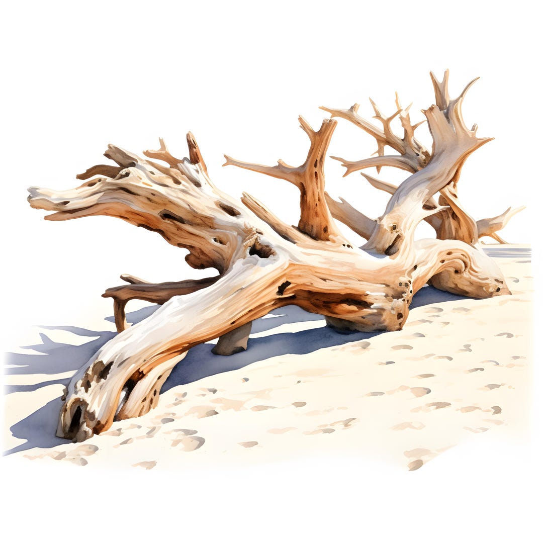 Driftwood Clipart, Wooden Log Images, 10 Watercolor Clip Art, Printable ...