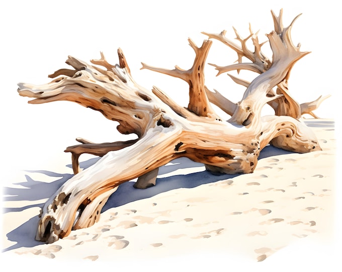 Driftwood Clipart, Wooden Log Images, 10 Watercolor Clip Art, Printable JPGs, Instant Download, Commercial Use, Paper craft