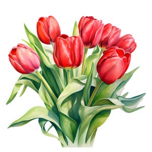Red Tulips Clipart, Tulips Bouquet Images, 10 Watercolor Clip Art, Printable JPGs, Instant Download, Commercial Use, Paper craft