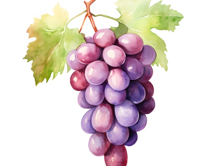 Grapes Clipart, Bunch of Grapes Images, 10 Watercolor Clip Art, Printable JPGs, Instant Download, Commercial Use, Paper craft