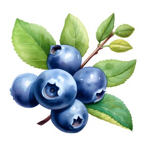 Watercolor Blueberry Clipart: 10 Printable Fruit Images (JPGs)