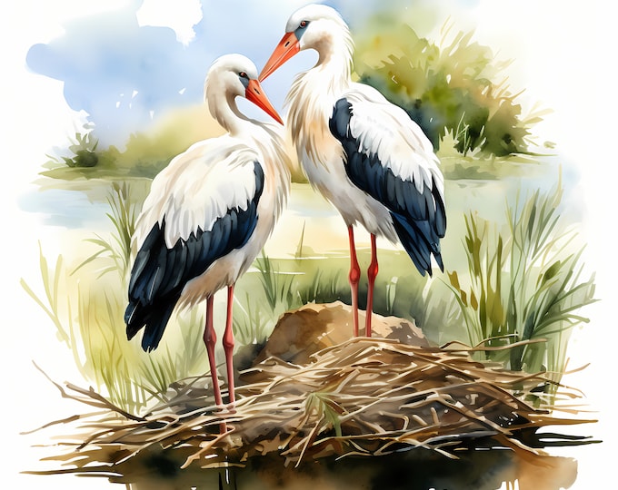 Stork Couple Clipart, Storks in Nest Images, 10 Watercolor Clip Art, Printable JPGs, Instant Download, Commercial Use, Paper craft