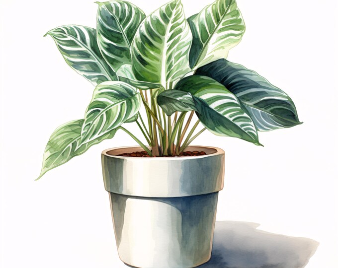 House Plant Clipart, Greenery Pot Images, 10 Watercolor Clip Art, Printable JPGs, Instant Download, Commercial Use, Paper craft