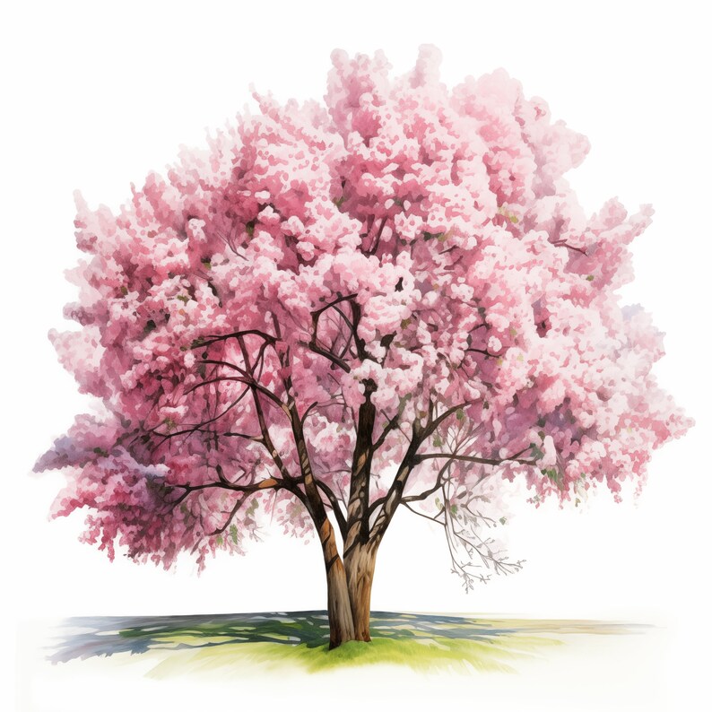 Sakura Tree Clipart, Cherry Blossom Images, 10 Watercolor Clip Art