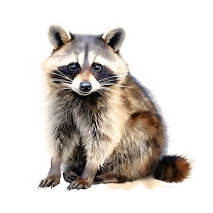 Raccoon Clipart, Funny Raccoons Images, 10 Watercolor Clip Art, Printable JPGs, Instant Download, Commercial Use, Paper craft