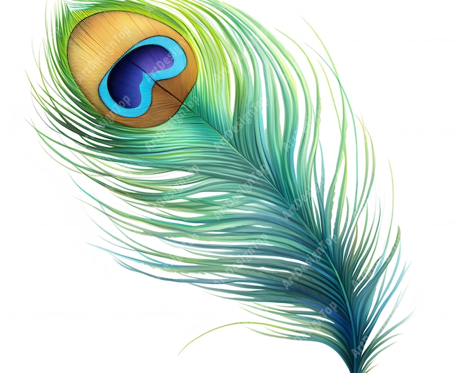 Peacock Feather Clipart, Elegant Feathers Images, 10 Watercolor Clip Art, Printable JPGs, Instant Download, Commercial Use, Paper craft