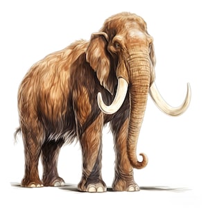 Watercolor Mammoth Clipart: Stone Age Animal Images (JPG Digital Download)