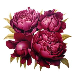 Clipart di peonie bordeaux, immagini di fiori viola, 10 clipart ad acquerello, JPG stampabili, download immediato, uso commerciale, artigianato di carta