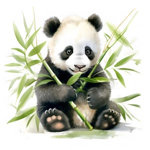 Clipart bébé panda, panda avec des images de bambou, 10 images clipart aquarelle, fichiers JPG imprimables, téléchargement immédiat, usage commercial, créations en papier