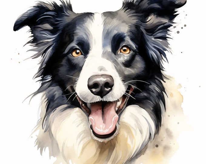 Border Collie Clipart, Border Collie Images, 10 Watercolor Clip Art, Printable JPGs, Instant Download, Commercial Use, Paper craft