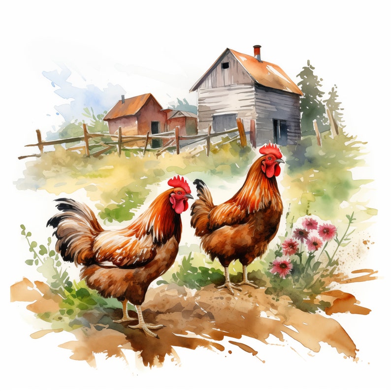 Watercolor Chicken Clipart: Farm Animal JPG Images (commercial Use) - Etsy