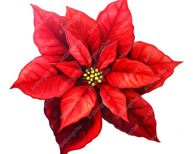 Poinsettia Clipart, Christmas Flower Images, 10 Watercolor Clip Art, Printable JPGs, Instant Download, Commercial Use, Paper craft