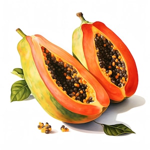 Imágenes prediseñadas de papaya, imágenes de la fruta de papaya, 10 imágenes prediseñadas de acuarela, archivos JPG imprimibles, descarga instantánea, uso comercial, manualidades de papel