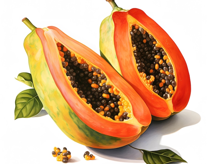 Papaya Clipart, Papaya Fruit Images, 10 Watercolor Clip Art, Printable JPGs, Instant Download, Commercial Use, Paper craft