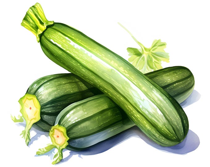 Zucchini Clipart, Farm Vegetable Images, 10 Watercolor Clip Art, Printable JPGs, Instant Download, Commercial Use, Paper craft