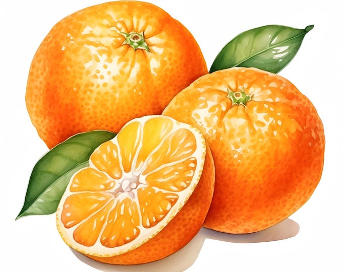 Tangerine Clipart, Orange Mandarin Images, 10 Watercolor Clip Art, Printable JPGs, Instant Download, Commercial Use, Paper craft