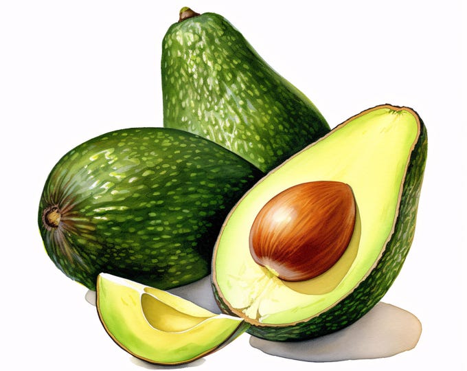 Watercolor Avocado Clipart: Healthy Food Illustrations (JPG Digital Download, Commercial Use)