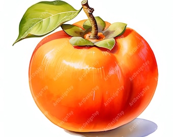Watercolor Persimmon Clipart: Fruit Images for Crafts (JPGs)