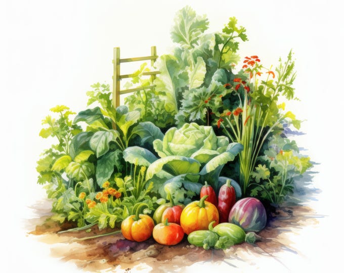 Vegetable Garden Clipart, Organic Veggie Images, 10 Watercolor Clip Art, Printable JPGs, Instant Download, Commercial Use, Paper craft
