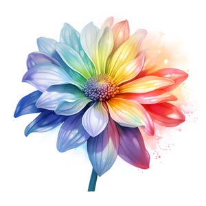 Watercolor Rainbow Flower Clipart: Commercial Use JPGs (Digital Download)