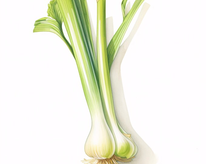 Watercolor Leek Clipart: Green Onion Vegetable Art (JPG Digital Download, Commercial Use)