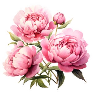 Clipart pioenrozen, afbeeldingen pioenrozen boeket, 10 aquarel illustraties, afdrukbare JPG's, Instant Download, Commercieel gebruik, Papercraft