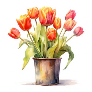 Tulips Clipart, Pot With Tulips Images, 10 Watercolor Clip Art, Printable JPGs, Instant Download, Commercial Use, Paper craft